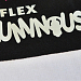   - Plotterfilms FLEX LUMINOUS